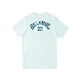 Billabong Arch Fill Erkek Tişört  ABYZT01696