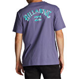 Billabong Arch Fill Erkek Tişört  ABYZT01696