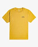 Billabong C1SS65BIP2 Arch Wave Erkek Tişört