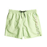 Billabong All Day Heritage Lb Erkek Şort EBYJV00122-GDT0 Renkli