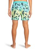 Billabong Su Yeşili Erkek Şort Mayo EBYJV00124_SEQUENCE LB