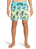 Billabong Su Yeşili Erkek Şort Mayo EBYJV00124_SEQUENCE LB