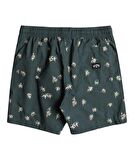 Billabong EBYJV00128 Vacay Lb Erkek Şort Mayo