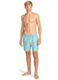 Billabong Yeşil Erkek Şort Mayo EBYJV00128_VACAY LB