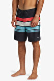 Quiksilver Everyday Stripe 19 Erkek Boardshort AQYBS03648-KVJ6