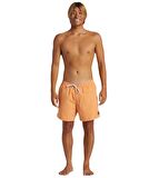 Quiksilver AQYJV03153 Everyday Solid Volley 15 Erkek Şort Mayo
