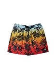 Quiksilver Turuncu Erkek Şort Mayo AQYJV03147_EVERYDAY MIX VOLLEY 15