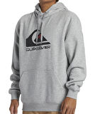 Quiksilver Big Logo Hoodie Erkek Sweatshirt AQYFT03356-SGRH Heritage Heather