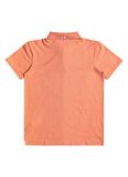 Quiksilver Baskılı Pembe Erkek Polo T-Shirt EQYKT04334_POLO STRETCH