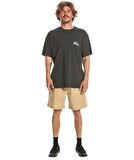 Quiksilver EQYZT07654 Take Us Back Logo Ss Erkek Tişört