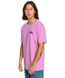 Quiksilver EQYZT07657 Mw Mini Logo Ss Erkek Tişört