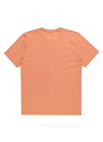 Quiksilver Pembe Erkek O Yaka  Standart Fit Baskılı T-Shirt EQYZT07658_COMP LOGO SS