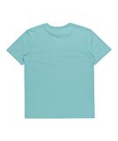 Quiksilver EQYZT07657 Mw Mini Logo Ss Erkek Tişört