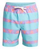 Quiksilver EQYJV04062 Take Us Back Vl 17 Erkek Şort Mayo