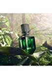 Roberto Cavalli Paradise Found Men EDT 75ML Erkek Parfümü