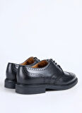 Polo Ralph Lauren Siyah Erkek Klasik Ayakkabı ASHER WGTIP-DRESS SHOE-WINGTIP