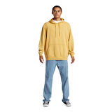 Quiksilver Salt Water Hoodie Erkek Sweatshirt