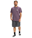 Quiksilver EQYZT08042-PQC0 Ev Mini Logo Ss Erkek Spor Tişört