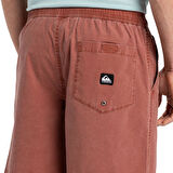 Quiksilver TAXER WS Erkek Walkshort EQYWS03877-QK.QK.CQN0