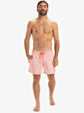 Quiksilver Everyday Deluxe Volley 15 Erkek Deniz Şortu