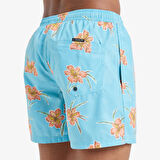 Quiksilver Şort Mayo Everyday Straight Volley 15