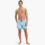 Quiksilver Şort Mayo Everyday Straight Volley 15