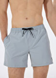EQYJV04127 EVERYDAY FLEX VOLLEY 15 Gri Normal Bel Standart Kalıp Erkek Şort Mayo