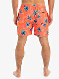 Quiksilver Everyday Straight Volley 15 Erkek Şort EQYJV04121