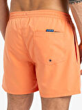 Quiksilver Everyday Solid Volley 15 Erkek Deniz Şortu