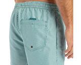 Quiksilver Everyday Deluxe Volley 15 Erkek Şort Mayo EQYJV04101-21882 Yeşil