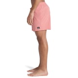 Quiksilver Şort Mayo Everyday