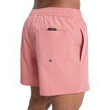 Quiksilver Şort Mayo Everyday
