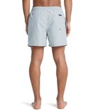 Quiksilver EVERYDAY 15 Erkek Şort EQYJV04120-QK.3082