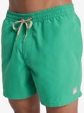 Quiksilver Everyday 15 Erkek Şort EQYJV04120