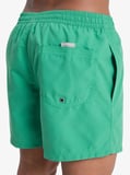 Quiksilver Everyday 15 Erkek Şort EQYJV04120