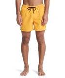 Quiksilver EVERYDAY 15 Erkek Şort EQYJV04120-QK.3091