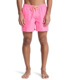 Quiksilver EVERYDAY 15 Erkek Şort EQYJV04120-QK.MJB0