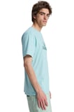Quiksilver Ev Vista Erkek Tişört