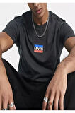 Bisiklet Yaka Regular Fit Antrasit Erkek %100 Pamuk T-shirt
