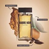 Yves Rocher Ambre Noir Edt 100 ML Erkek Parfümü