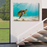 Deniz Kaplunbağası Dekoratif Kanvas Duvar Tablosu-3662