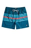 Billabong C1Lb02 All Day Stripes Lb Volley Mavi Erkek Şort