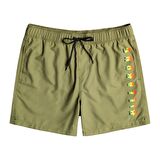 Billabong All Day Heritage Lb Erkek Şort