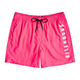 Billabong All Day Heritage Erkek Deniz Şortu
