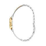 CLYDA CLA800LWL Kadın Kol Saati