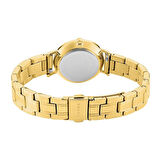 CLYDA CLA810DAD Kadın Kol Saati