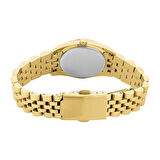 CLYDA CLA831DDD Kadın Kol Saati