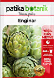 20 Adet Enginar Tohumu