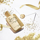 Parfums de Marly Godolphin EDP 125 ml Erkek Parfümü