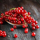2 Adet Frenk Üzümü (Ribes rubrum) Fidanı - Sağlıklı ve Lezzetli Meyveler, 1-2 Yaş Arası Tüplü